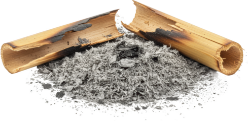 Burned Bamboo Fragments and Ash Pile Close up Macro Photography of Charred Wood and Ash