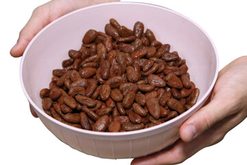 raw cocoa beans in plastic bowl