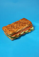 Food Item on Blue Background 22