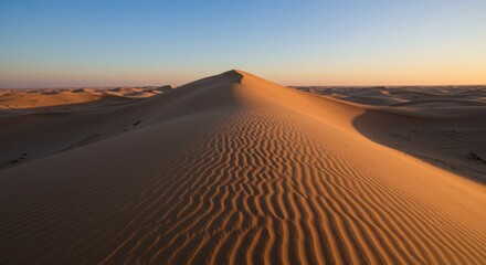 Golden Sand Dunes at Sunset in the Desert