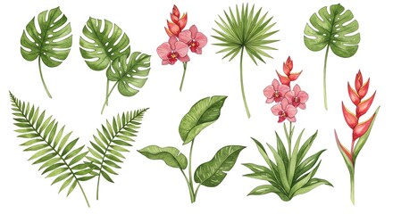 Tropical foliage and floral design elements