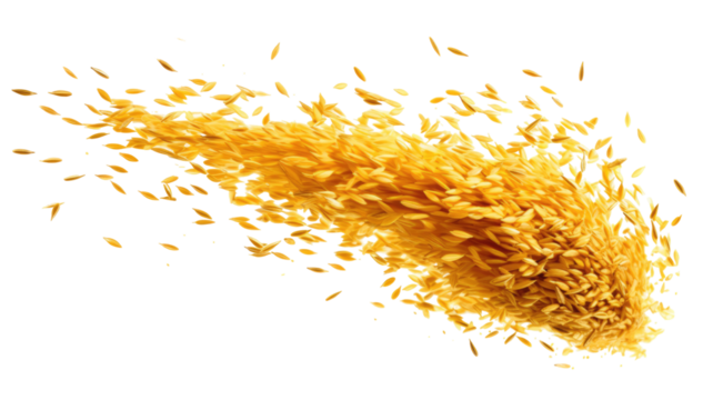 Golden Sesame Seeds Falling in Slow Motion with Hyper Detail on Transparent Background

 

