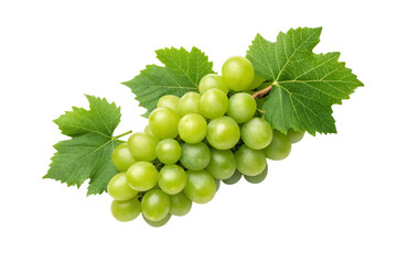Obraz premium bunch of green grapes isolated