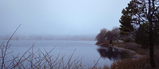 Atmospheric landscape featuring fog rolling over a lake and trees on a gloomy day, creating a...