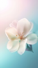 Naklejka premium white orchid flower