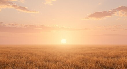 Fototapeta premium Golden Wheat Field at Sunset