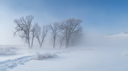 Obraz premium Frosty winter landscape with bare trees shrouded in fog, snow-covered ground, and subtle tracks.