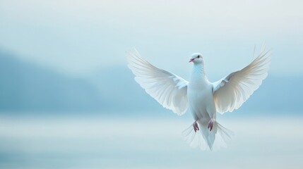 Fototapeta premium Elegant White Dove in Flight Against Soft Blurred Background Photography