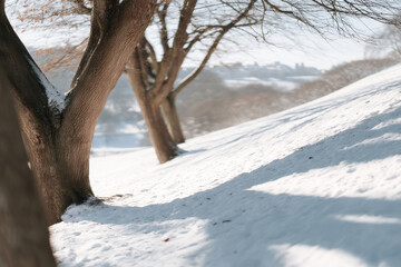 serene winter solstice scene showcasing minimalistic elements with bright colors