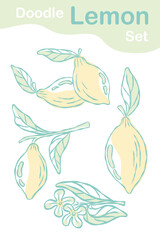 Fototapeta premium A whole lemon doodle collection in pastel color -green and yellow