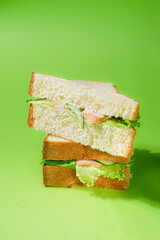 Delivery Sandwich with White Background – Green Background