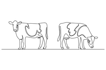 Continuous one line drawing of Cow. Single line drawing illustration of Milk calf animal. Livestock concept vector art. Doodle line illustration.