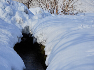 冬の野原の積雪の雪の景色