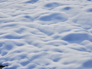 冬の野原の積雪の雪の景色
