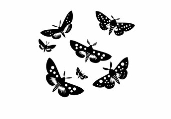 Moth Hand Drawn Natural Illustration Stylized as Linocut Vector Isolated by AZ for Books, Arts, Design and Decoration Graphic Asset