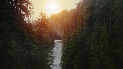 Warm sunlight filters through the trees, creating a magical ambiance as the river winds its way through the heart of the forest