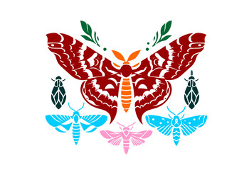Moth Hand Drawn Simplified Colored Illustration Vector Isolated by AZ for Books, Arts, Design and Decoration Graphic Asset