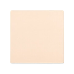 Fototapeta premium Sand Dollar Sticky Note