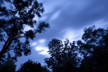 Impending Storm Twilight Skies and Silhouetted Trees Create a Dramatic Evening Scene