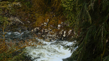 Whitewater river flowing through a rocky riverbed surrounded by lush green vegetation