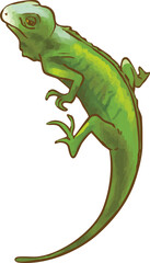 Obraz premium トカゲ