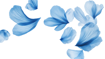 Blue Flower Background with Soft Petals and Natural Floral Pattern for Decorative or Design Use