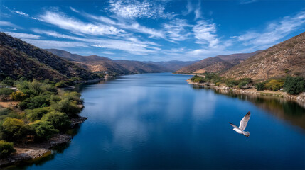 Expansive lake reflects sky, bordered by hills, trees, bird in flight. Serene beauty