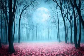 Photo sur Plexiglas Mystical forest under a full moon