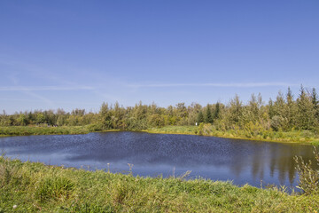 Pylypow Wetlands on a Sunny Summer Day