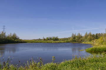 Pylypow Wetlands on a Sunny Summer Day