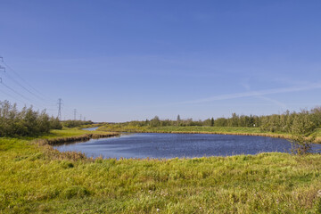 Pylypow Wetlands on a Sunny Summer Day