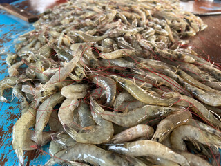 close up shrimp in market