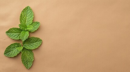 Fresh mint leaves arranged on a plain brown background with ample space for text or design.
