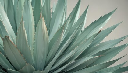 Soft pastel agave leaf backdrop, stylish design element, trendy, graphics, spring