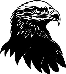 eagle head vector illustration