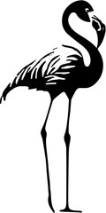 vector illustration of a flamingo bird