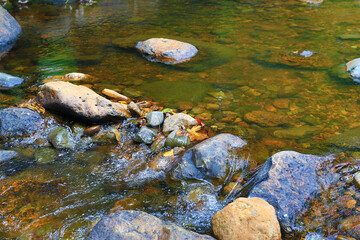 Water flowing through rock, pebbles in stream and forest.