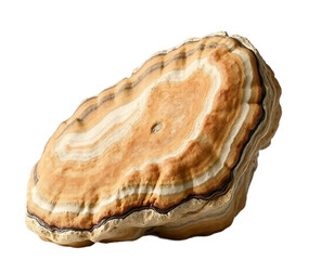 Close-up of a Polished Onyx Stone with Banded Layers