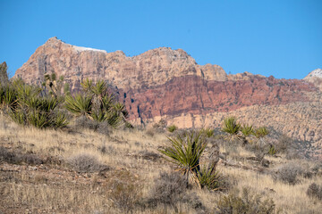 Rocky structures of at  Red Rock Canyon, Nevada, USA