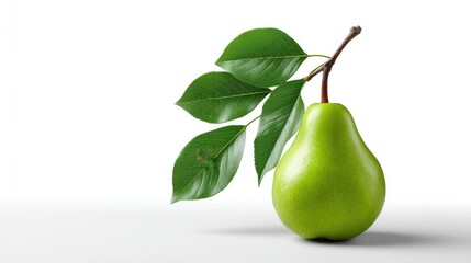 Realistic Pear on Plan white Background