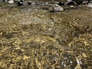 water in the river