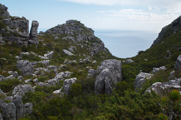 Beautiful Panorama Vista point of Table Mountain National Park, Cape Town, South Africa