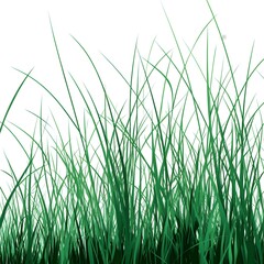 Fototapeta premium grass vector illustration