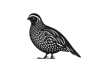 Fototapeta premium simple and unobtrusive Bobwhite Quail vector silhouette illustration isolated in white background