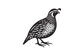 Fototapeta premium simple and unobtrusive Bobwhite Quail vector silhouette illustration isolated in white background