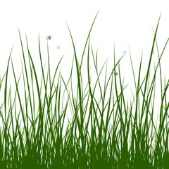 Obraz premium grass vector illustration