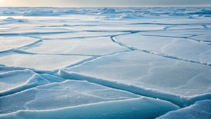 Expansive ice formations create a serene, textured landscape under soft lighting, capturing the beauty of a frozen environment.