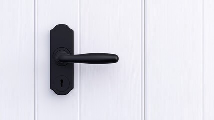 Obraz premium A black door handle with a keyhole mounted on a white wooden door.