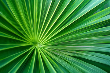 Obraz premium Close-up of a palm leaf showcasing vibrant green hues and intricate patterns of nature's design, perfect for nature lovers.