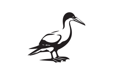 Fototapeta premium simple and unobtrusive Gannet bird vector silhouette illustration isolated in white background